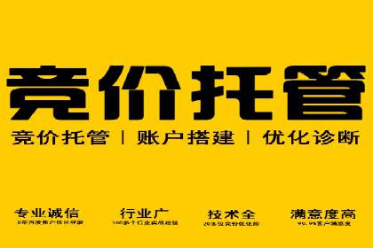 百度竞价代理在某行业的具体应用与效果